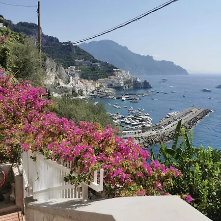 Bouganville&sea