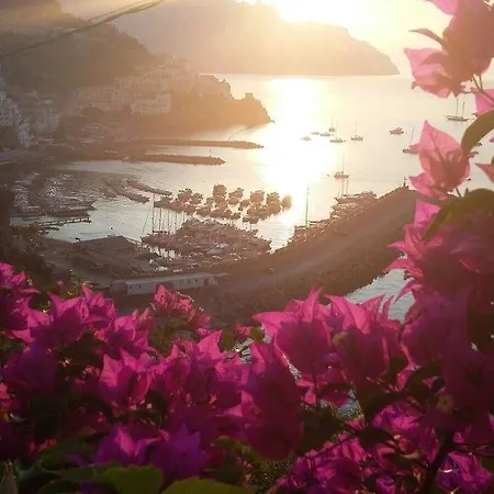 Bouganville&sea *